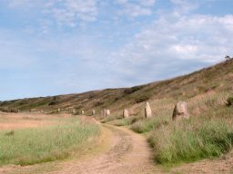 IMGP3200-Mindelunden-for-hedens-opdyrkning